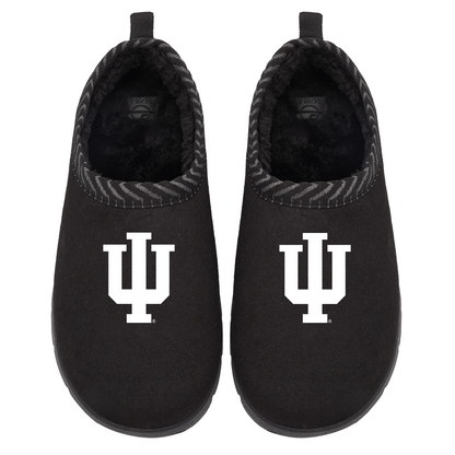 Indiana Hoosiers Primary Logo Mission