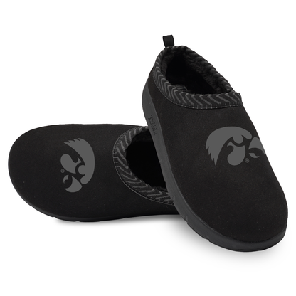 Iowa Hawkeyes Tonal Logo Mission