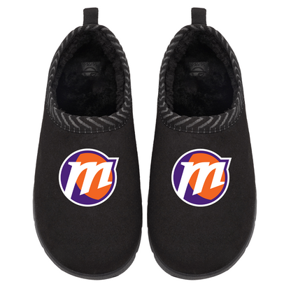 Phoenix Mercury Primary Logo Mission