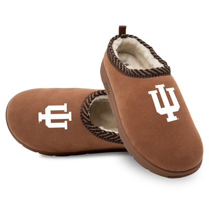 Indiana Hoosiers Primary Logo Mission